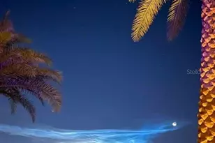 228 - 227 Broken Woods Blvd, Davenport, FL 33837 - Photo 35