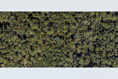 Hamilton Ave, Orange City, FL 32763 - Photo 1