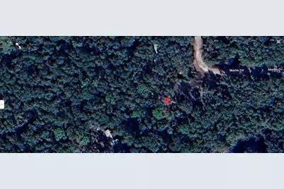 4809 Merlin Circle, Ridge Manor, FL 33523 - Photo 5