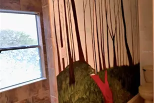 25012 Chipshot Ct, Sorrento, FL 32776 - Photo 31