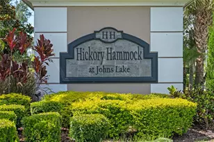16003 Tangerine Blossom Wy, Winter Garden, FL 34787 - Photo 57
