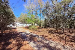 229 Dolphin Cir, Middleburg, FL 32068 - Photo 47