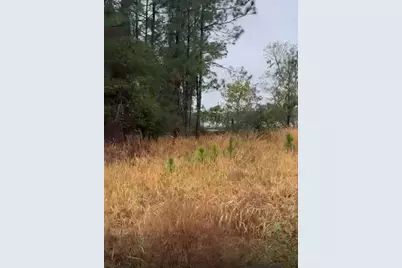 226 Hunting Shortcut Road, Crescent City, FL 32112 - Photo 3