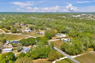 245 Country Cir Dr E, Port Orange, FL 32128 - Photo 55