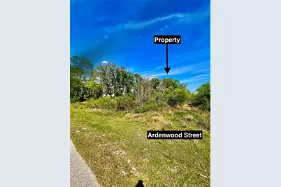 Ardenwood Street, Tampa, FL 33625 - Photo 1