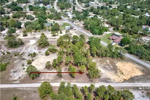 328 Tahiti Ave, Lake Placid, FL 33852 - Photo 5