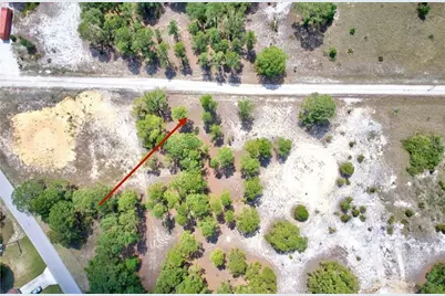 328 Tahiti Avenue, Lake Placid, FL 33852 - Photo 1