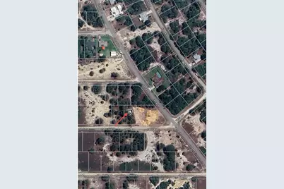 328 Tahiti Avenue, Lake Placid, FL 33852 - Photo 9