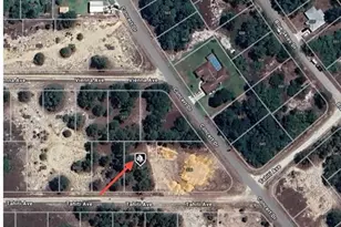 328 Tahiti Ave, Lake Placid, FL 33852 - Photo 9