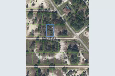 328 Tahiti Avenue, Lake Placid, FL 33852 - Photo 11