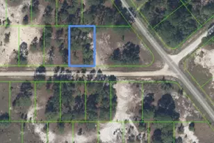 328 Tahiti Ave, Lake Placid, FL 33852 - Photo 11