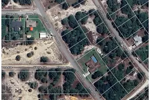 328 Tahiti Ave, Lake Placid, FL 33852 - Photo 7