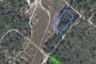 1214 Sandlewood St, Lake Placid, FL 33852 - Photo 5