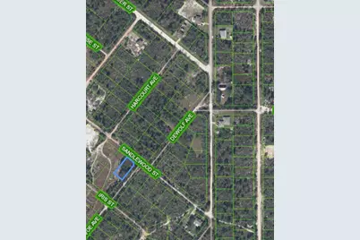 1214 Sandlewood Street, Lake Placid, FL 33852 - Photo 7