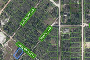 1214 Sandlewood St, Lake Placid, FL 33852 - Photo 7