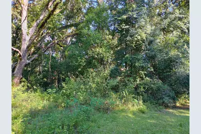 11704 N Landover Terrace, Citrus Springs, FL 34434 - Photo 3