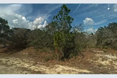 394 Crown Drive, Lake Placid, FL 33852 - Photo 1