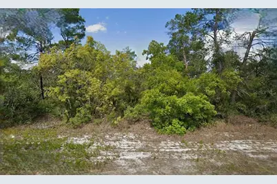 215 & 217 Treasurer Avenue NE, Lake Placid, FL 33852 - Photo 1