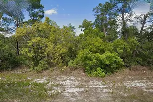 215 & 217 Treasurer Ave NE, Lake Placid, FL 33852 - Photo 1