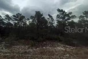 448 Quail Ave, Sebring, FL 33870 - Photo 1