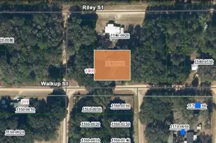 116 Walkup St, Interlachen, FL 32148 - Photo 1
