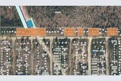 228 Rome Ave, Interlachen, FL 32148 - Photo 3