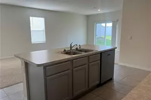 3009 Tansy St, Tavares, FL 32778 - Photo 9
