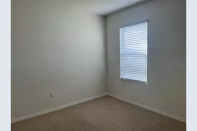 3009 Tansy Street, Tavares, FL 32778 - Photo 15