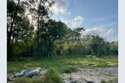 10725 Demille Road, Polk City, FL 33868 - Photo 3