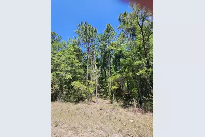 West 1/2 Of Lot 2, Block 177, Rolling Hills #5, Ocala, FL 34481 - Photo 1