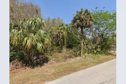 Longwood Drive, Osteen, FL 32764 - Photo 1