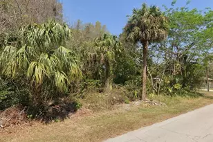 Longwood Dr, Osteen, FL 32764 - Photo 1