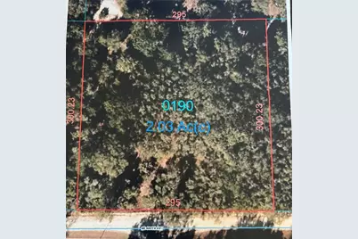 0000 NE 440 Avenue, Old Town, FL 32680 - Photo 1