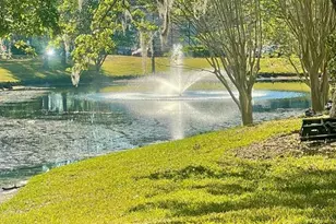 13905 Fairway Island Dr, Orlando, FL 32837 - Photo 11