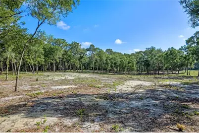 29901 State Road 44, Eustis, FL 32736 - Photo 17