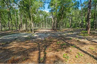 29901 State Road 44, Eustis, FL 32736 - Photo 5