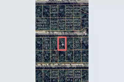 00 Basford St, Interlachen, FL 32148 - Photo 1