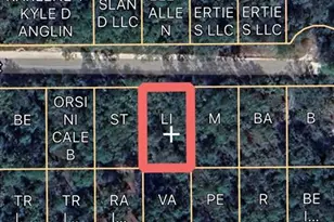 00 Basford St, Interlachen, FL 32148 - Photo 1