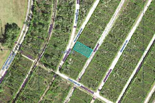 Palm Beach Dr, Indian Lake Estates, FL 33855 - Photo 1