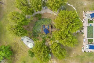 6816 Greengrove Blvd, Clermont, FL 34714 - Photo 87