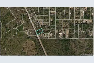 8854 Flicker Road, Tallahassee, FL 32305 - Photo 5