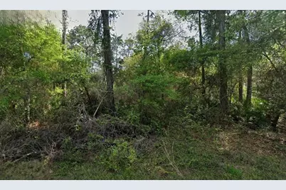 Not Assigned, Crescent City, FL 32112 - Photo 1