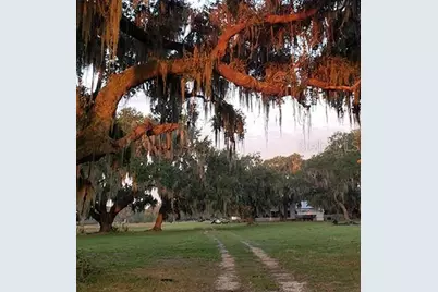 3650 Lake Tohopekaliga Road, Saint Cloud, FL 34772 - Photo 29