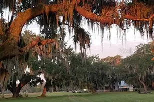 3650 Lake Tohopekaliga Rd, Saint Cloud, FL 34772 - Photo 29