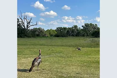 3650 Lake Tohopekaliga Road, Saint Cloud, FL 34772 - Photo 57