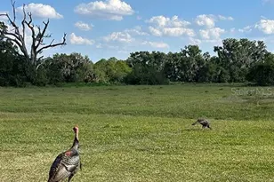 3650 Lake Tohopekaliga Rd, Saint Cloud, FL 34772 - Photo 57