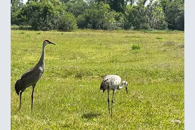 3650 Lake Tohopekaliga Road, Saint Cloud, FL 34772 - Photo 27