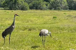 3650 Lake Tohopekaliga Rd, Saint Cloud, FL 34772 - Photo 27