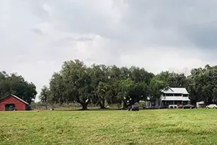 3650 Lake Tohopekaliga Rd, Saint Cloud, FL 34772 - Photo 55