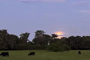 3650 Lake Tohopekaliga Rd, Saint Cloud, FL 34772 - Photo 61